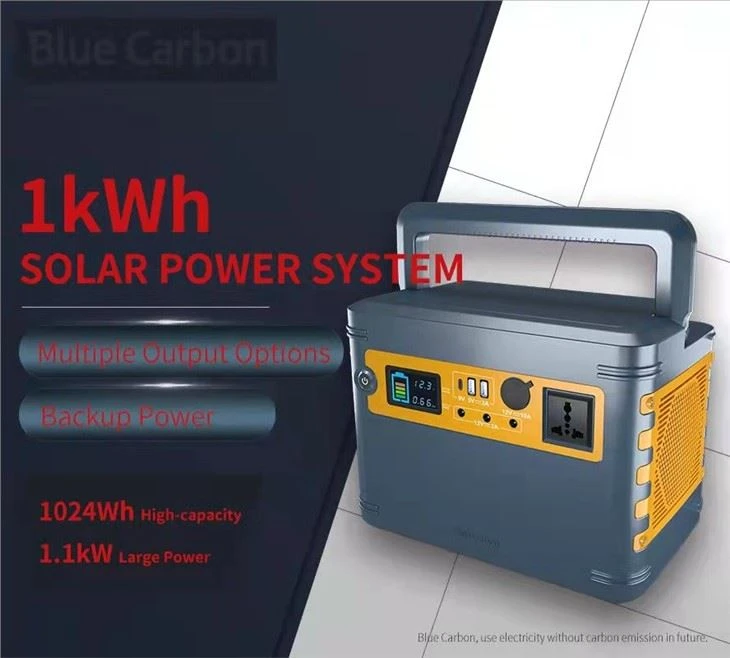 Blue Carbon New Product 1kwh All in One Solar Home System LiFePO4 Lithium Battery Solar Power Generator For Outdoor Camping Private Mould